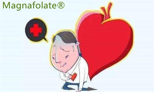 L-5-메틸폴레이트: 뇌졸중 및 심장마비 위험을 줄일 수 있음