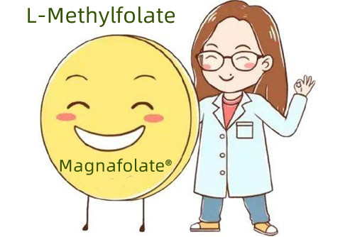 메틸폴레이트가 엽산보다 나은 이유는 무엇입니까?