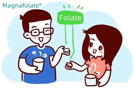 하루에 엽산을 얼마나 섭취해야 하나요?