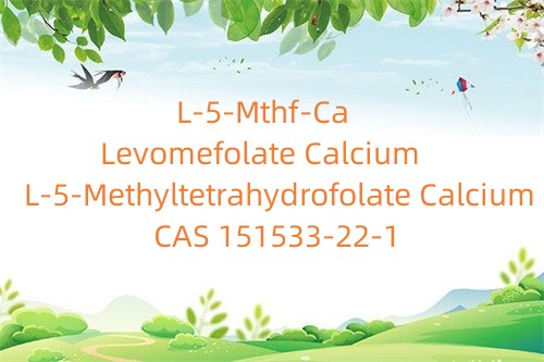 L-5-메틸테트라히드로폴레이트 칼슘_Levomefolate Calcium_L-5-Mthf-Ca