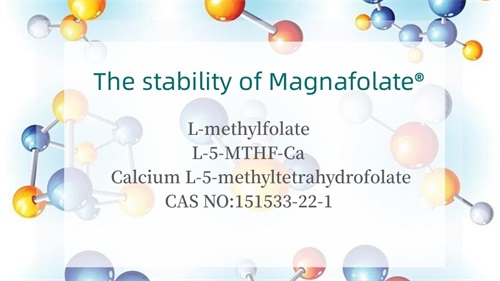 Magnafolate®의 안정성